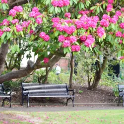 Botanic Gardens - Belfast