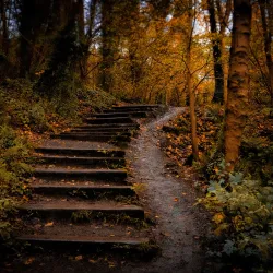 Cave Hill Country Park - Belfast