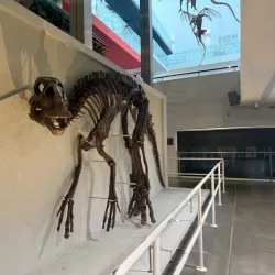 Ulster Museum - Belfast