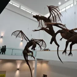 Ulster Museum - Belfast