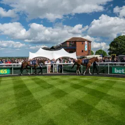 Beverley Racecourse - Beverley
