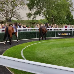 Beverley Racecourse - Beverley