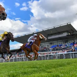 Beverley Racecourse - Beverley