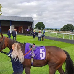 Beverley Westwood - Beverley