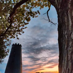 Beverley Westwood - Beverley