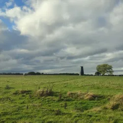 Beverley Westwood - Beverley