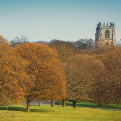 Beverley Westwood - Beverley