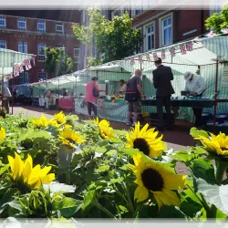 Bexhill Farmers Market - Bexhill