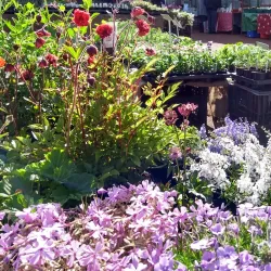 Bexhill Farmers Market - Bexhill