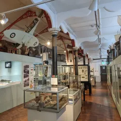 Bexhill Museum - Bexhill