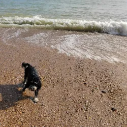 Bexhill Seafront and Beach - Bexhill