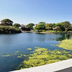 Egerton Park - Bexhill