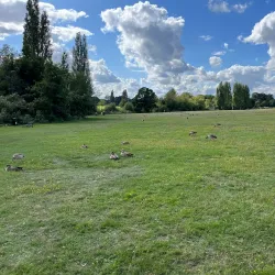 Danson Park - Bexley