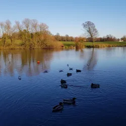 Danson Park - Bexley