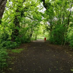 Foots Cray Meadows - Bexley