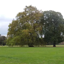 Foots Cray Meadows - Bexley