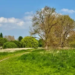 Foots Cray Meadows - Bexley