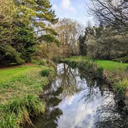 Hall Place Stables and Craft Workshops - Bexley
