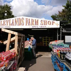 Billericay Farmers Market - Billericay