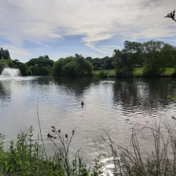 Lake Meadows Park - Billericay