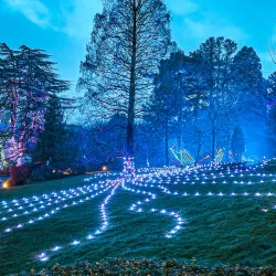 Birmingham Botanical Gardens - Birmingham