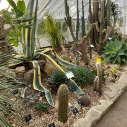 Birmingham Botanical Gardens - Birmingham