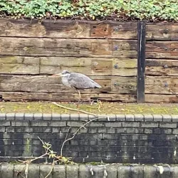 Birmingham Canal Navigations - Birmingham