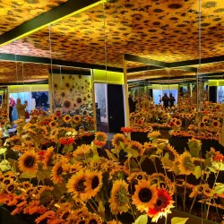 Birmingham Hippodrome - Birmingham