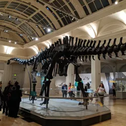 Birmingham Museum and Art Gallery - Birmingham