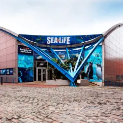 National SEA LIFE Centre Birmingham - Birmingham