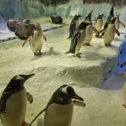 National SEA LIFE Centre Birmingham - Birmingham