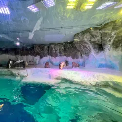 National SEA LIFE Centre Birmingham - Birmingham