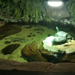 National SEA LIFE Centre Birmingham - Birmingham