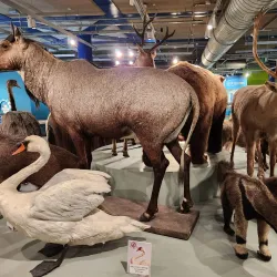 Thinktank, Birmingham Science Museum - Birmingham