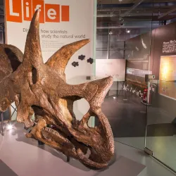 Thinktank, Birmingham Science Museum - Birmingham