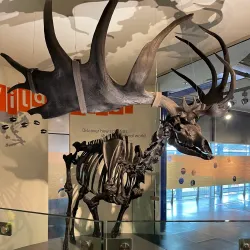 Thinktank, Birmingham Science Museum - Birmingham