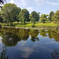 Hertfordshire Golf and Country Club - Bishops Stortford