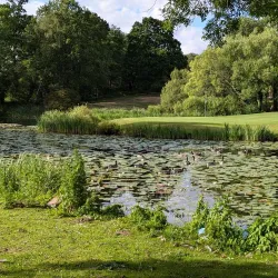 Hertfordshire Golf and Country Club - Bishops Stortford