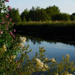 Thorley Wash Nature Reserve - Bishops Stortford