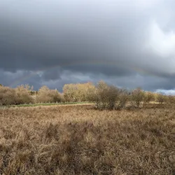Thorley Wash Nature Reserve - Bishops Stortford