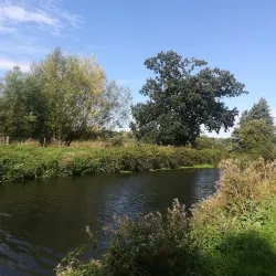 Thorley Wash Nature Reserve - Bishops Stortford