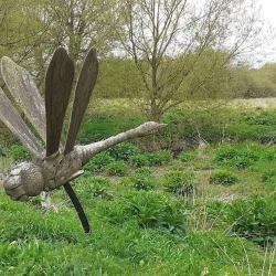 Thorley Wash Nature Reserve - Bishops Stortford