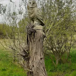Thorley Wash Nature Reserve - Bishops Stortford