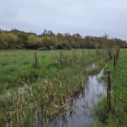 Thorley Wash Nature Reserve - Bishops Stortford