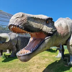 Blackpool Zoo - Blackpool