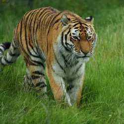 Blackpool Zoo - Blackpool