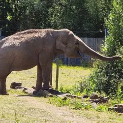 Blackpool Zoo - Blackpool