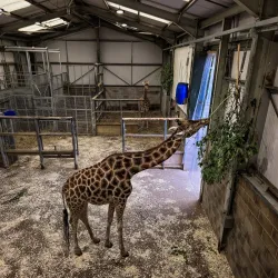 Blackpool Zoo - Blackpool