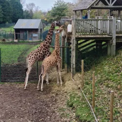 Blackpool Zoo - Blackpool