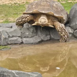 Blackpool Zoo - Blackpool
